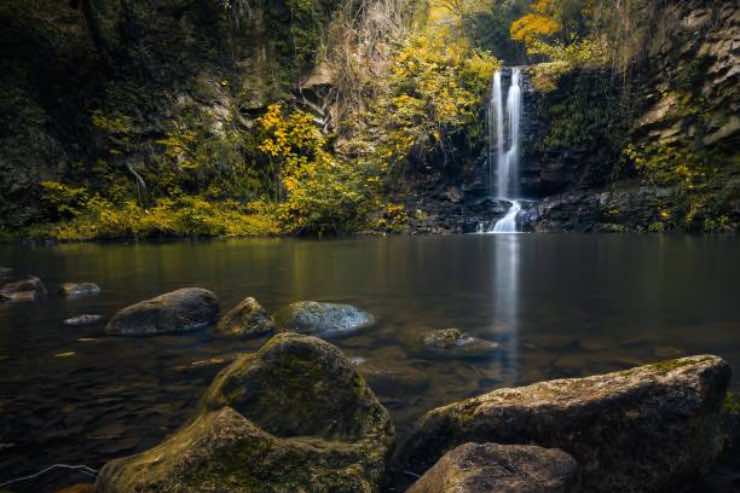 Foresta Amazzonica nel Lazio