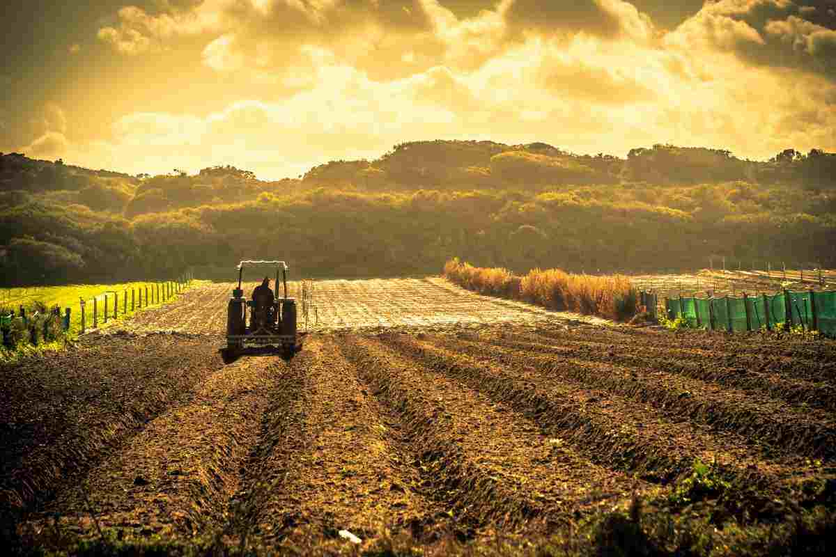 Flai Cgil politiche lavoro agricolo