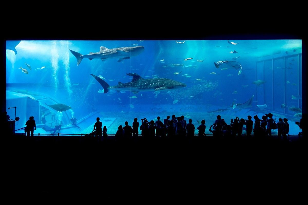 Acquario di Roma