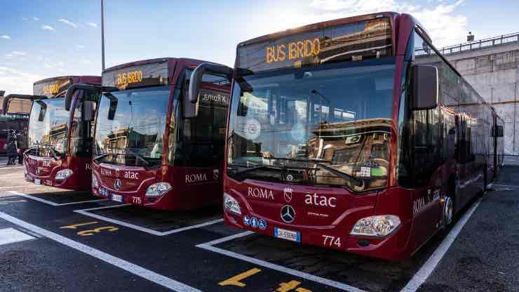 Autobus Roma