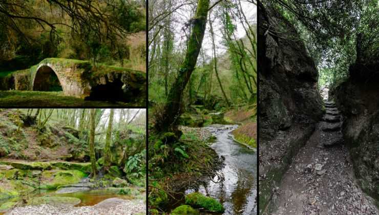 perché visitare il parco regionale Marturanum 