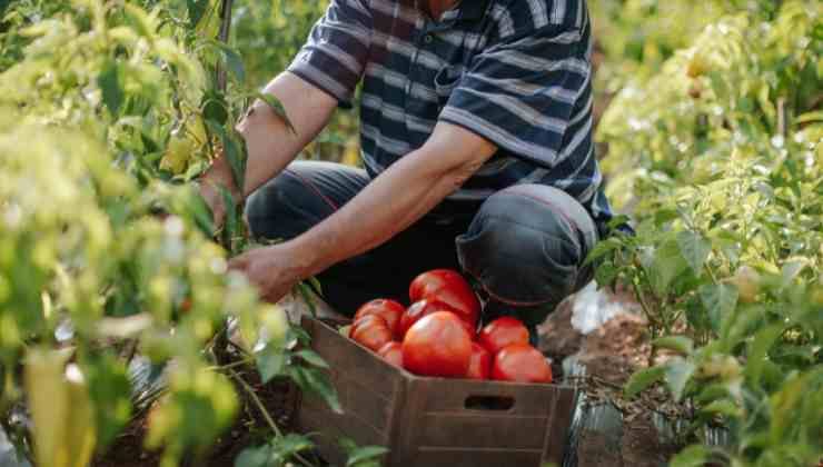 Violazioni e conseguenze per i datori di lavoro