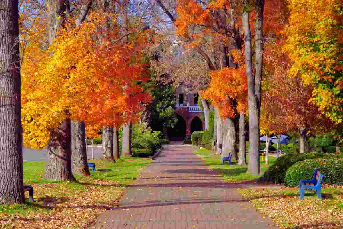 Foliage nel Lazio, i luoghi più belli 