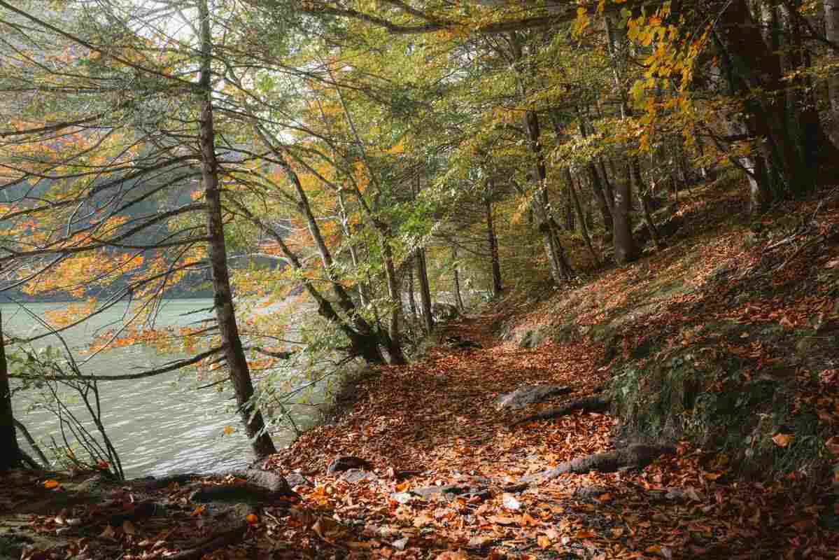 Bosco di Biancaneve in Italia