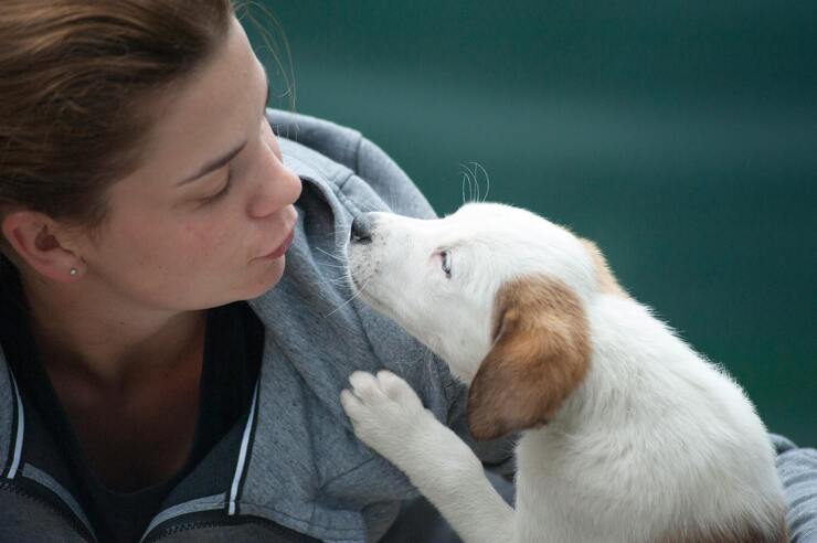 Progetto per pet e padroni