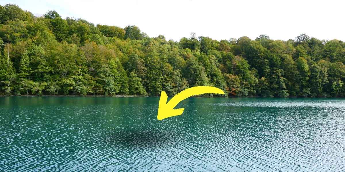 Incontro terribile nel lago cosa vede nell'acqua