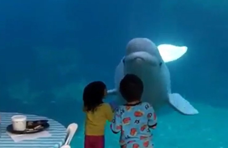 Un beluga e due bambini