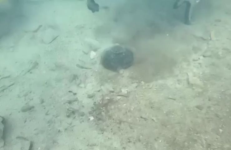 Vasi antichi nel lago di Bolsena